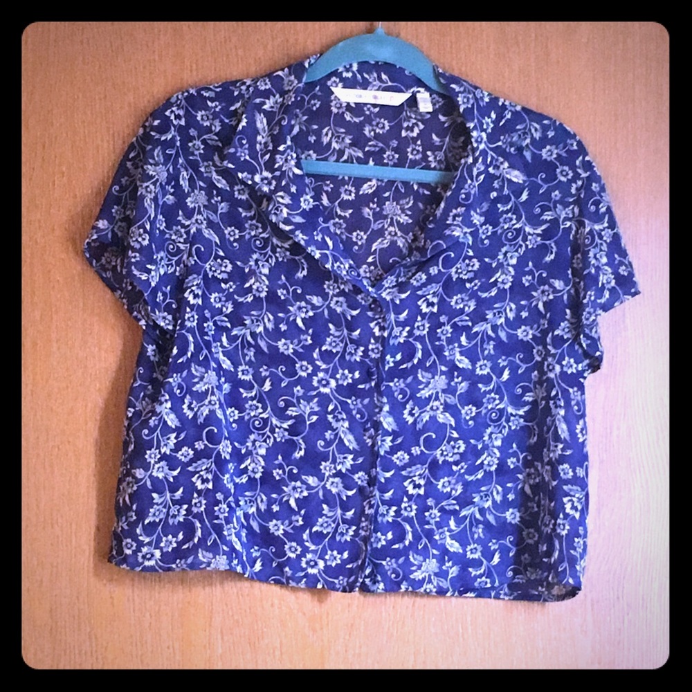 Sheer Victoria’s Secret Crop Top - Medium